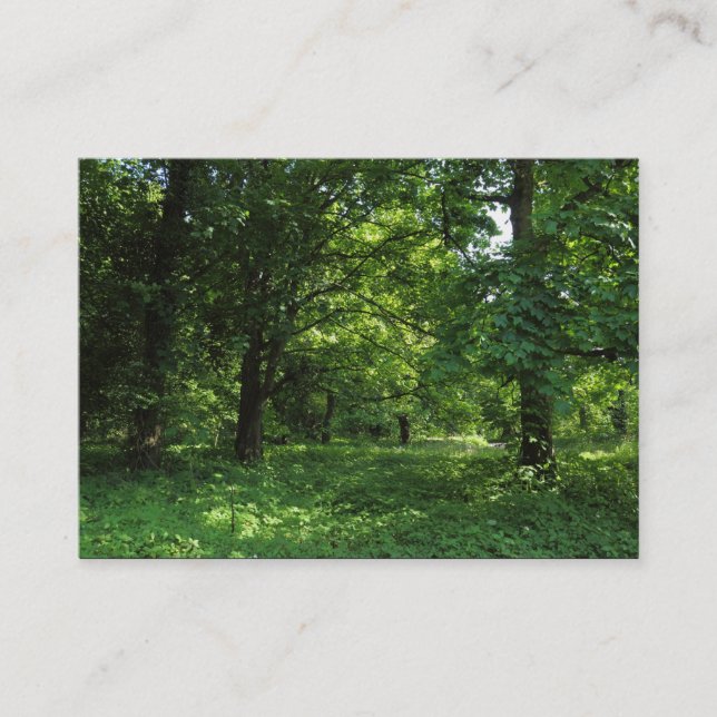 Spring in the Woods 01 Business Card (Front)