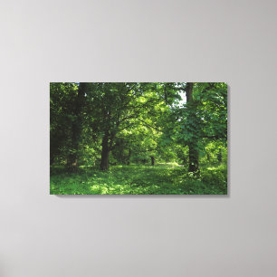 Spring in the Woods 01 Canvas Print