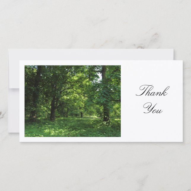 Spring in the Woods 01 - Thank You (Front)