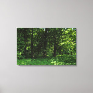 Spring in the Woods 02 Canvas Print