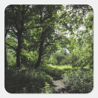 Spring in the Woods 03 Square Sticker
