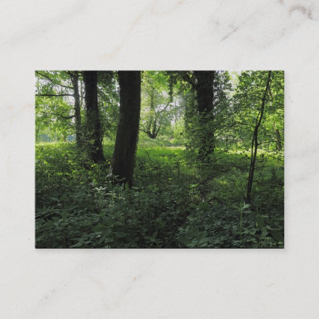 Spring in the Woods 04 Business Card (Front)
