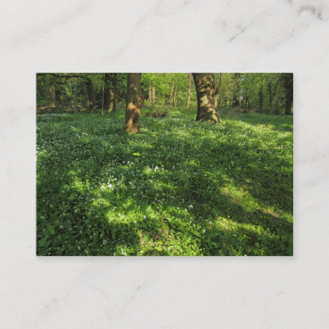 Spring in the Woods Business Card (Front)