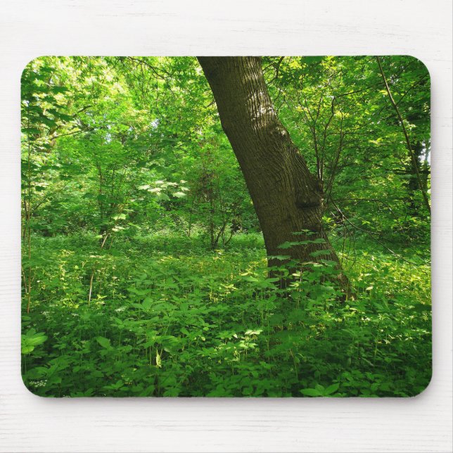 Spring in the Woods Mouse Pad (Front)