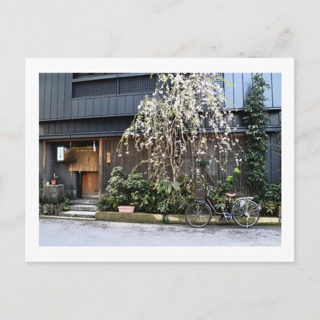 Spring in Tokyo Postcard (Front)