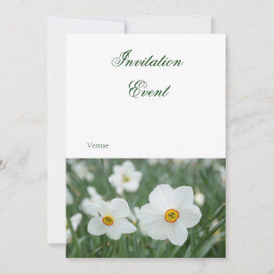 Spring Invitation