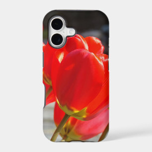 Spring iPhone 5 covers Red Tulip Flowers