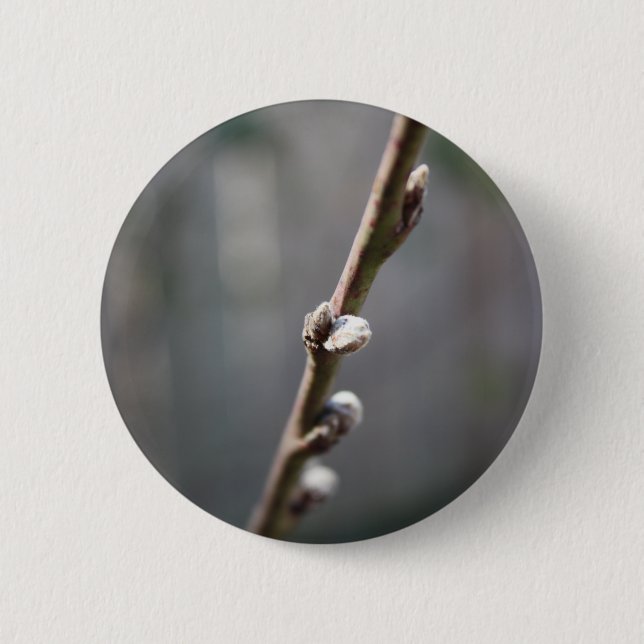 Spring is Coming 2 Inch Round Button (Front)