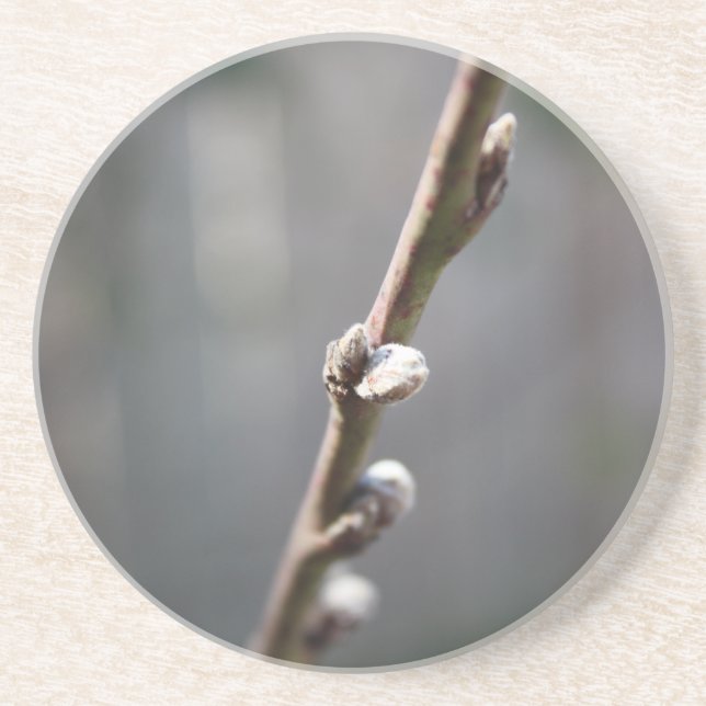 Spring is Coming Coaster (Front)