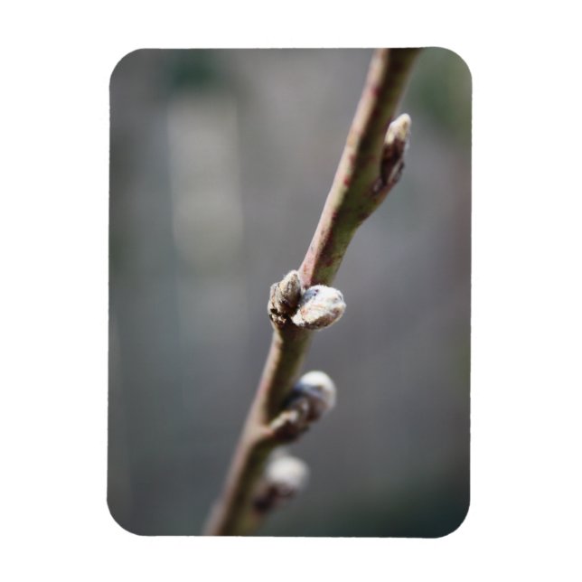 Spring is Coming Magnet (Vertical)