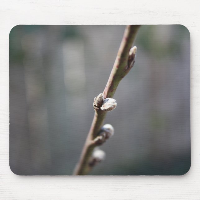 Spring is Coming Mouse Pad (Front)