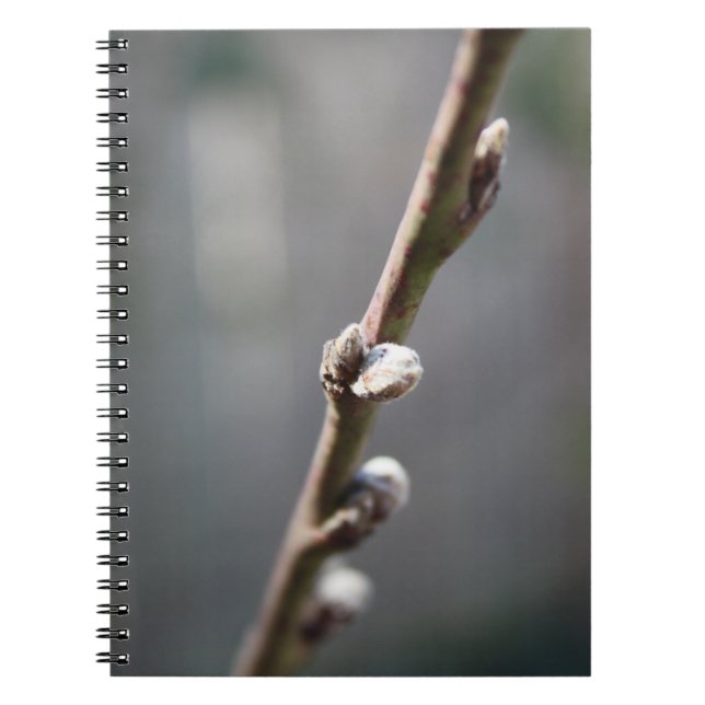 Spring is Coming Notebook (Front)
