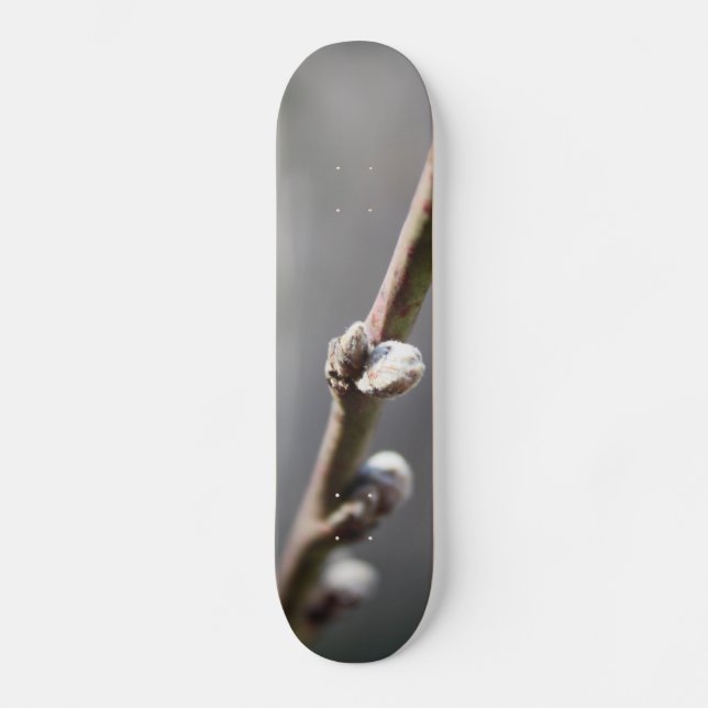 Spring is Coming Skateboard (Front)