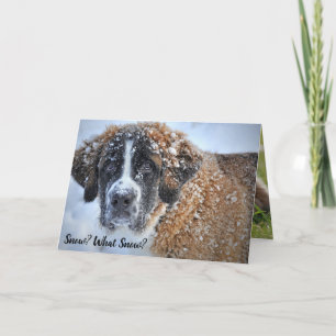 Spring is Coming St. Bernard Cute Bunny Card