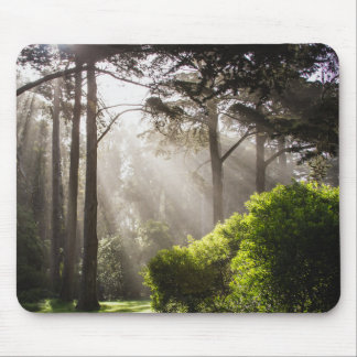 Spring is comming mouse pad