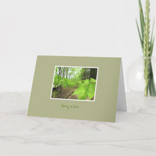 "Spring is here" Encouragement Greeting Card