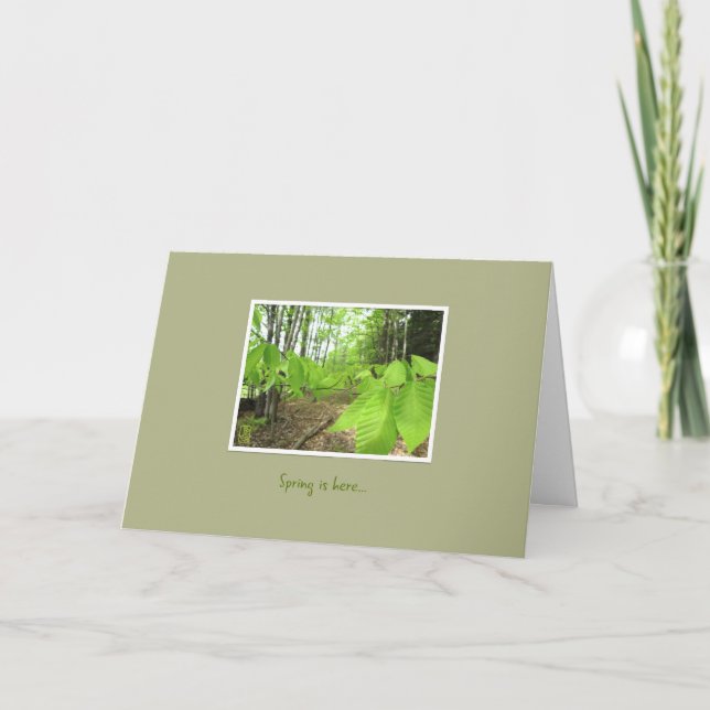"Spring is here" Encouragement Greeting Card (Front)