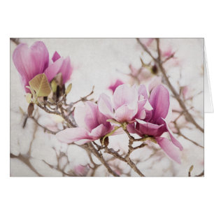 Spring is In the Air