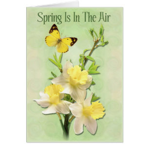 Spring Is In The Air