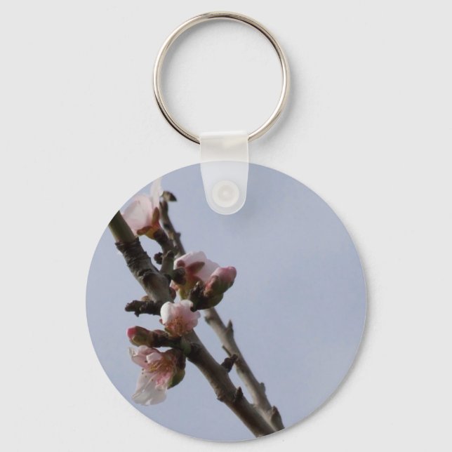 Spring Keychain (Front)