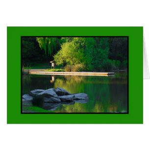 Spring Lake Reflections