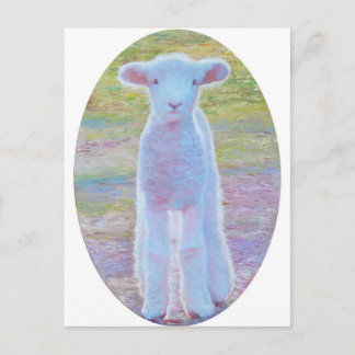 Spring lamb postcard