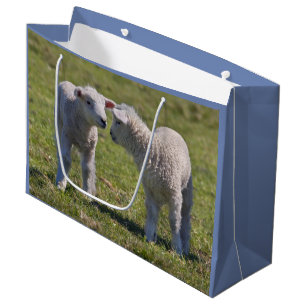 Spring Lambs Gift Bag