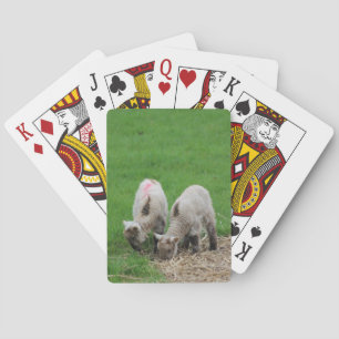 Spring Lambs Playing Cards