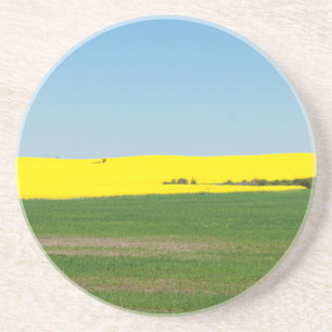 Spring Landscape Meadow Coaster