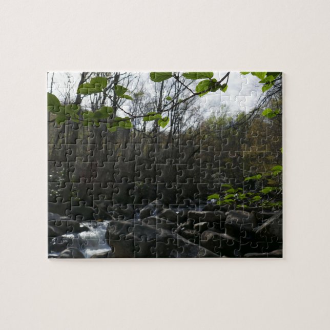 Spring Leaves at the Little Pigeon River Jigsaw Puzzle (Horizontal)