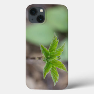 Spring Leaves iPhone 13 Case