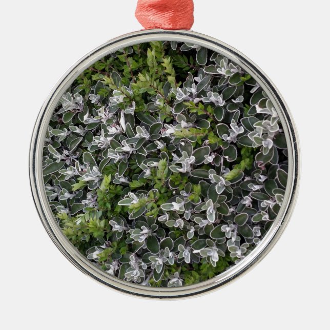spring leaves of bushes in the park nature pattern metal ornament (Front)
