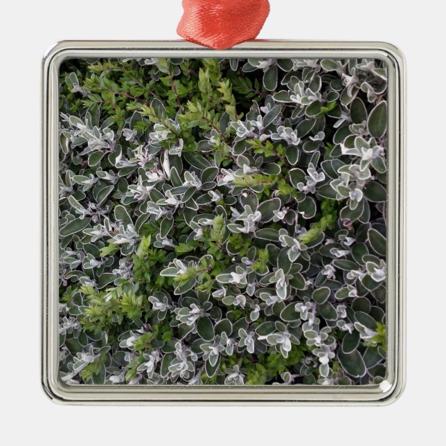 spring leaves of bushes in the park nature pattern metal ornament (Front)