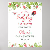 Spring Little Ladybug Girl Baby Shower Welcome