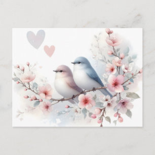 Spring Love Birds Cherry Blossom Floral Holiday Postcard