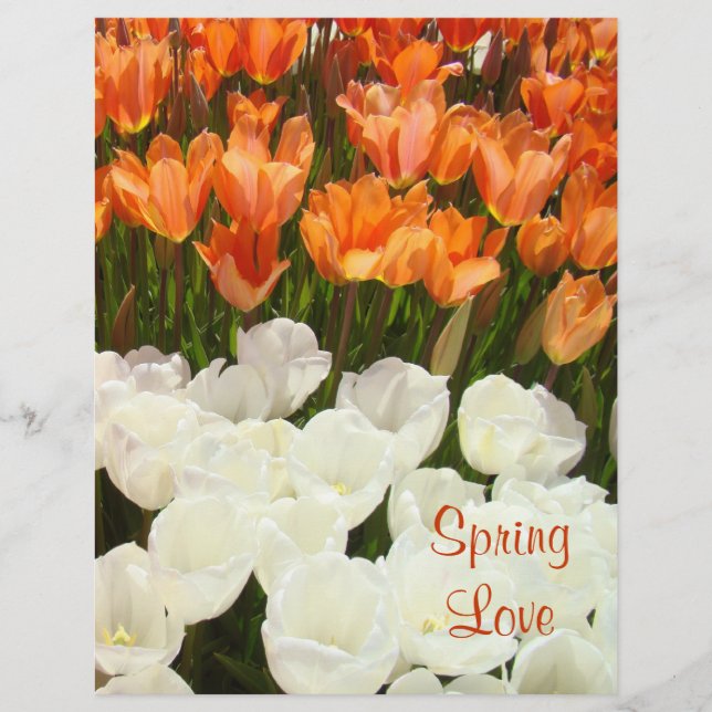 Spring Love Scrapbook Paper Tulip Flowers (Front)