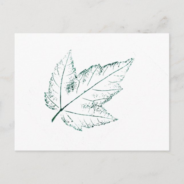 "Spring Maple" Country Roads Postcard (Front)