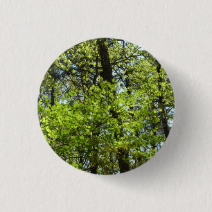 Spring Maple Leaves Nature 1 Inch Round Button