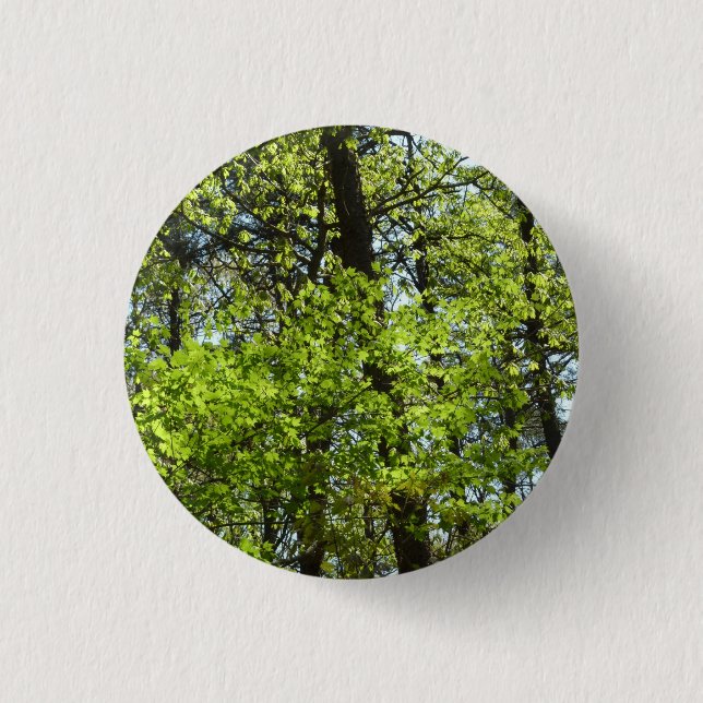 Spring Maple Leaves Nature 1 Inch Round Button (Front)