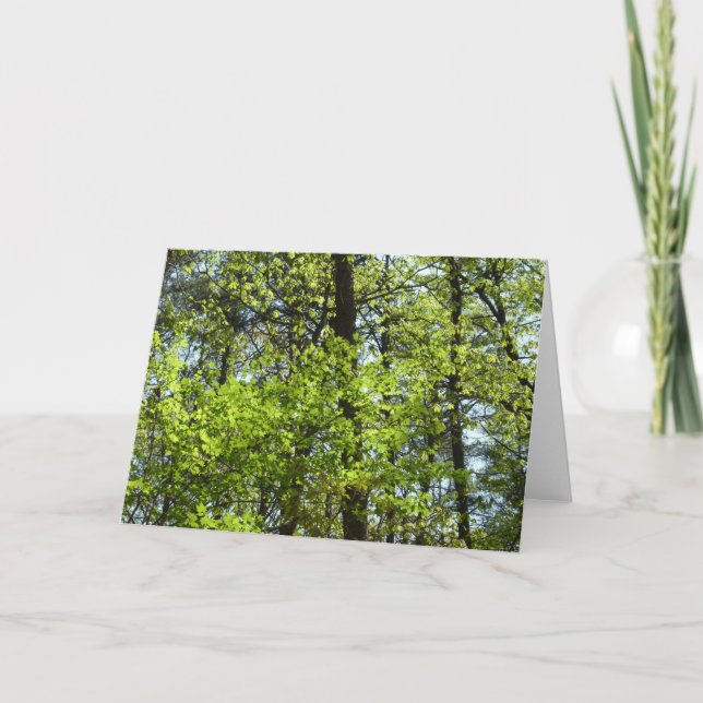 Spring Maple Leaves Nature Card (Front)