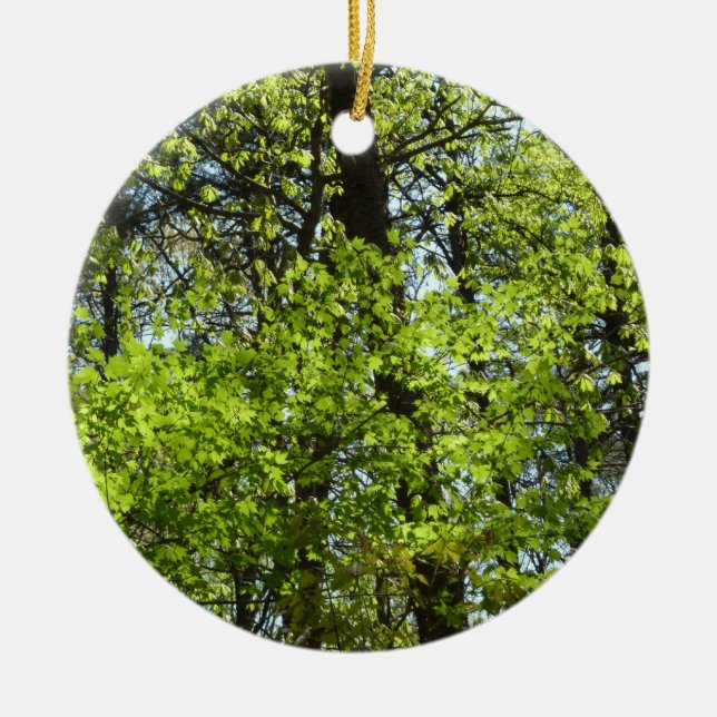 Spring Maple Leaves Nature Ceramic Ornament (Front)