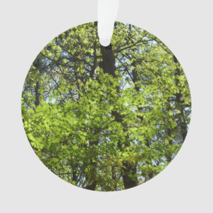 Spring Maple Leaves Nature Ornament