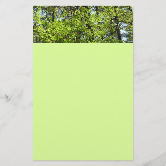 Spring Maple Leaves Nature Stationery (Front)