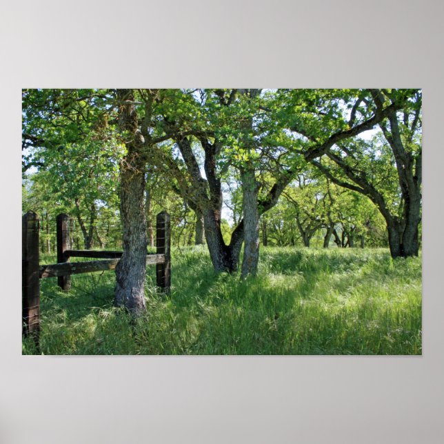 "Spring Meadow" Poster (Front)