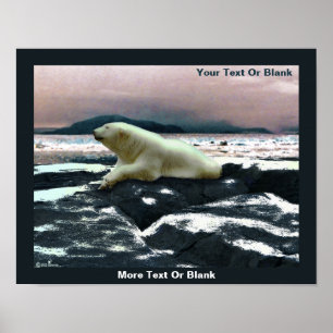 Spring Melt Polar Bear  Poster