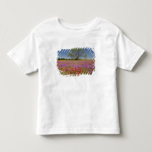 Spring mesquite trees growing in wildflowers, toddler t-shirt