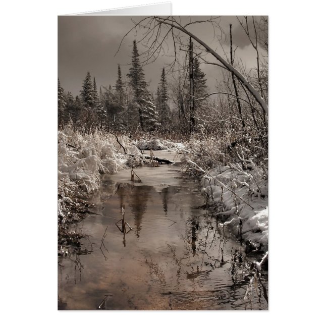 spring morning (Front)