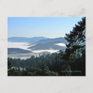 Spring morning bliss... postcard