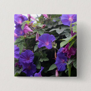 Spring Morning Glories in Blue 2 Inch Square Button