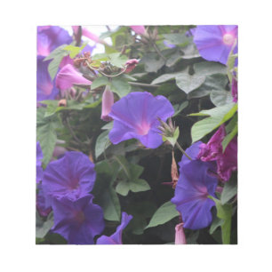 Spring Morning Glories in Blue Notepad